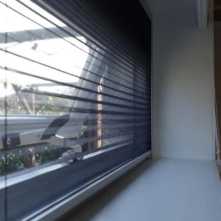 Quetzal شقة سكورل