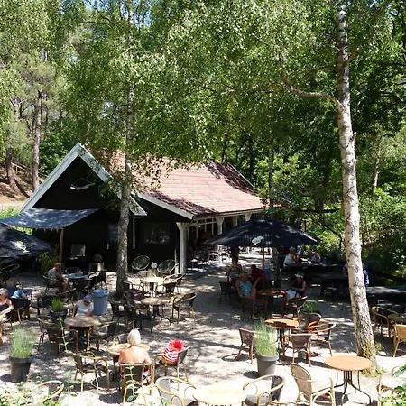 Quetzal * سكورل