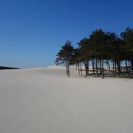 Quetzal Appartement *